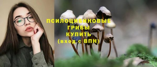 ешки Абаза