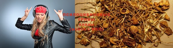 ешки Абаза