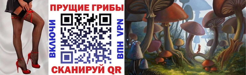 Псилоцибиновые грибы ЛСД  OMG сайт  Калачинск  сколько стоит 